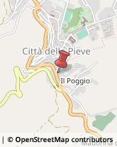 Dietetica e Nutrizione - Studi Città della Pieve,06062Perugia