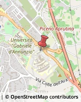 Università ed Istituti Superiori Chieti,66100Chieti