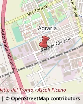 Assicurazioni San Benedetto del Tronto,63074Ascoli Piceno