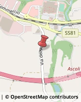 Agenzie di Vigilanza e Sorveglianza,63100Ascoli Piceno