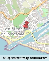 Franchising - Consulenza e Servizi Castiglione della Pescaia,58043Grosseto