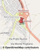 Scuole Pubbliche Monterosi,01030Viterbo