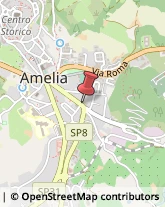 Consulenza Commerciale Amelia,05022Terni