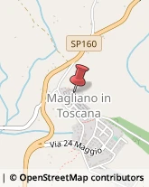 Assicurazioni Magliano in Toscana,58051Grosseto