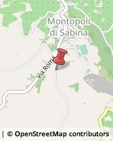 Giardinaggio - Servizio Montopoli di Sabina,02034Rieti