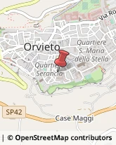 Pedagogia - Studi e Centri Orvieto,05018Terni