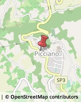 Trasporti Picciano,65013Pescara