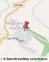 Aziende Sanitarie Locali (ASL) Magliano in Toscana,58051Grosseto