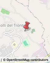 Articoli da Regalo - Dettaglio Colli del Tronto,63079Ascoli Piceno