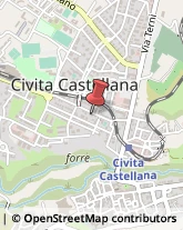 Piante e Fiori - Dettaglio Civita Castellana,01033Viterbo