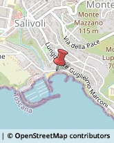 Nolo Marittimo - Mediatori Piombino,57025Livorno