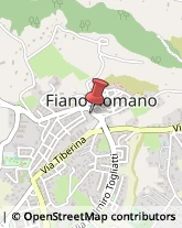 Tour Operator e Agenzia di Viaggi Fiano Romano,00065Roma