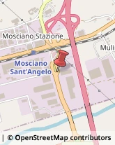 Pollame, Conigli e Selvaggina - Dettaglio Mosciano Sant'Angelo,64023Teramo