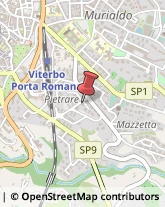 Consulenza alle Imprese e agli Enti Pubblici Viterbo,01100Viterbo