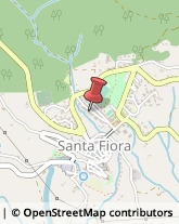 Geometri Santa Fiora,58037Grosseto