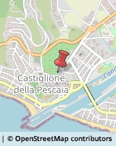 Agenzie di Animazione e Spettacolo Castiglione della Pescaia,58043Grosseto