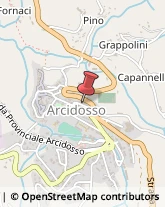 Farmacie Arcidosso,58031Grosseto