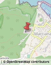 Ortofrutticoltura Marciana Marina,57033Livorno