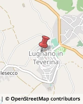 Locande e Camere Ammobiliate Lugnano in Teverina,05020Terni