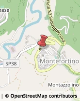 Trasporto Pubblico Montefortino,63858Fermo