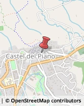 Cooperative Produzione, Lavoro e Servizi Castel del Piano,58033Grosseto