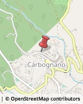 Commercialisti Carbognano,01030Viterbo