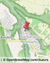 Internet - Hosting e Grafica Web Barbarano Romano,01010Viterbo