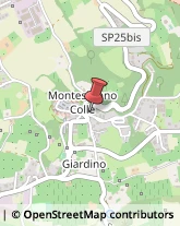 Cardiologia - Medici Specialisti Montesilvano,65015Pescara