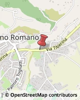 Trasporti Refrigerati Fiano Romano,00065Roma