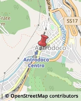 Piante e Fiori - Dettaglio Antrodoco,02013Rieti