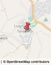 Scuole Pubbliche Lugnano in Teverina,05020Terni