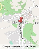 Licei - Scuole Private Montefalco,06036Perugia