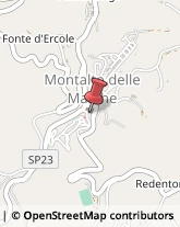 Farmacie Montalto delle Marche,63068Ascoli Piceno