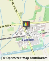 Casalinghi Scarlino,58020Grosseto