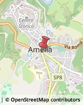 Commercialisti Amelia,05022Terni