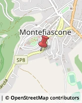 Pelliccerie Montefiascone,01027Viterbo