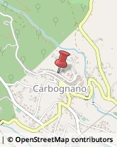 Avvocati Carbognano,01030Viterbo