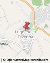 Imprese di Pulizia Lugnano in Teverina,05020Terni