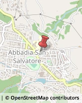 Consulenza Commerciale Abbadia San Salvatore,53021Siena