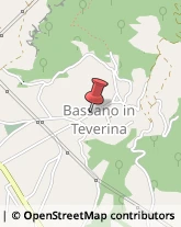 Autotrasporti Bassano in Teverina,01030Viterbo
