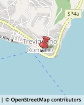 Vini e Spumanti - Produzione e Ingrosso Trevignano Romano,00069Roma