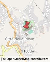 Assicurazioni Città della Pieve,06062Perugia