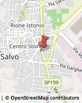 Licei - Scuole Private San Salvo,66050Chieti