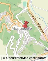 Ingegneri Montereale,67015L'Aquila