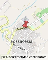 Assicurazioni Fossacesia,66022Chieti