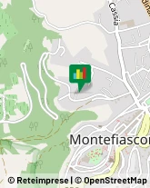 Imprese Edili Montefiascone,01027Viterbo