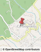 Segnaletica Stradale Carbognano,01030Viterbo