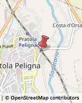 Veterinaria - Ambulatori e Laboratori Pratola Peligna,67035L'Aquila