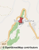 Dispositivi di Sicurezza e Allarme Torri in Sabina,02049Rieti