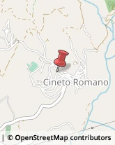 Elettrodomestici Cineto Romano,00020Roma